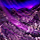 Irradiated